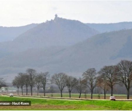 Gite De L'Aubach Ebersheim Kültér fotó