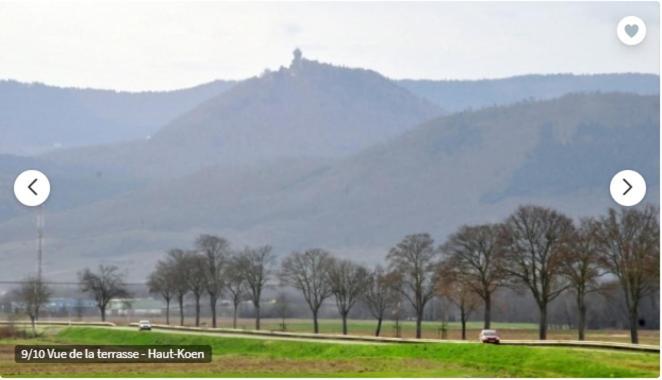 Gite De L'Aubach Ebersheim Kültér fotó
